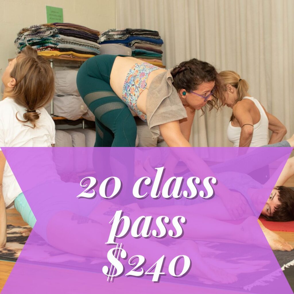 20-class pass - $240